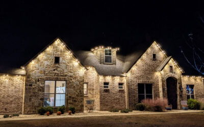 Why Choose LED Landscape Lighting?