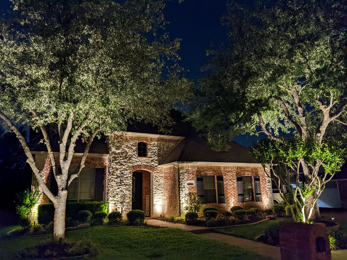 Tree Landscape Lighting Dallas AK Lighting